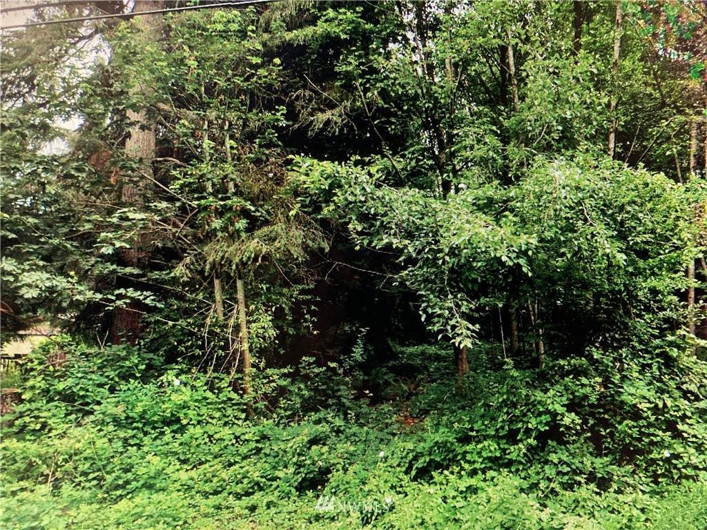 0 Mcwilliams Road - Photo 1