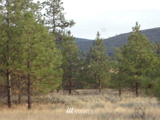 111 Cougar Canyon Road - Photo 1