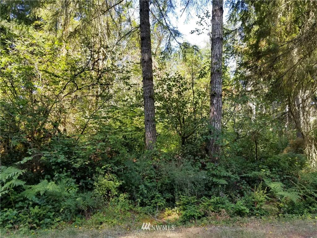 10407 107th Ave Ct - Photo 1
