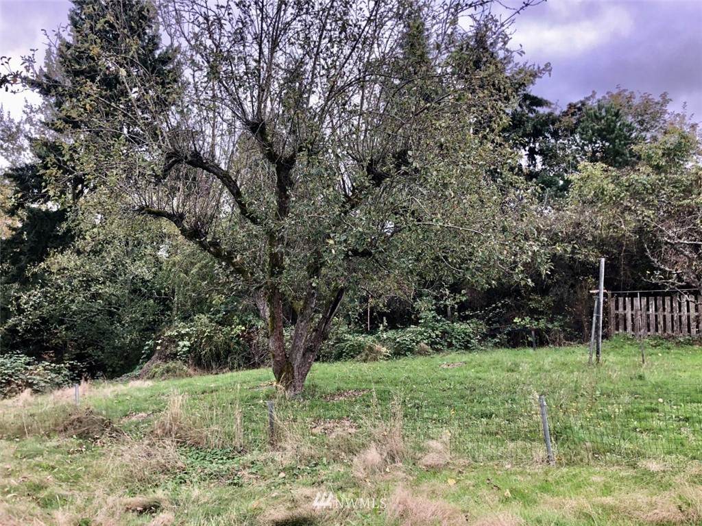 6728 21 Avenue - Photo 1