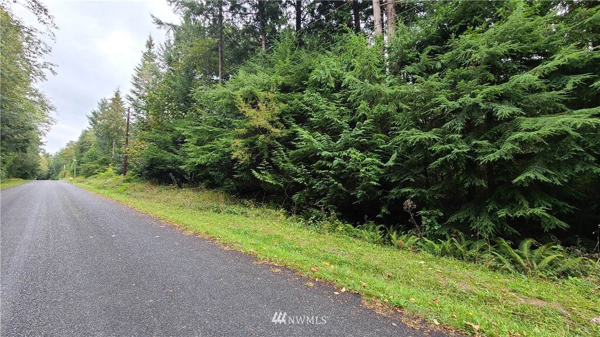2703 Sandy Drive - Photo 1