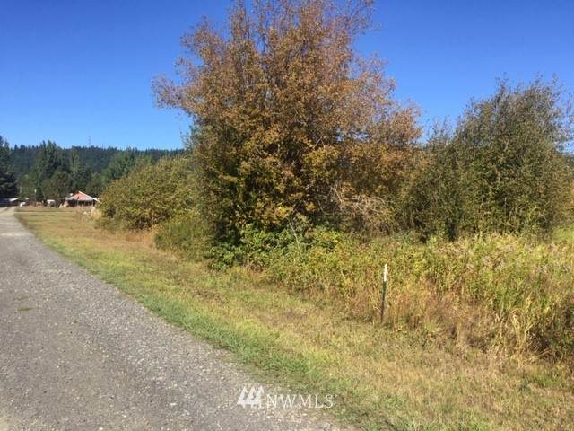 0 Three Lakes Road - Photo 1