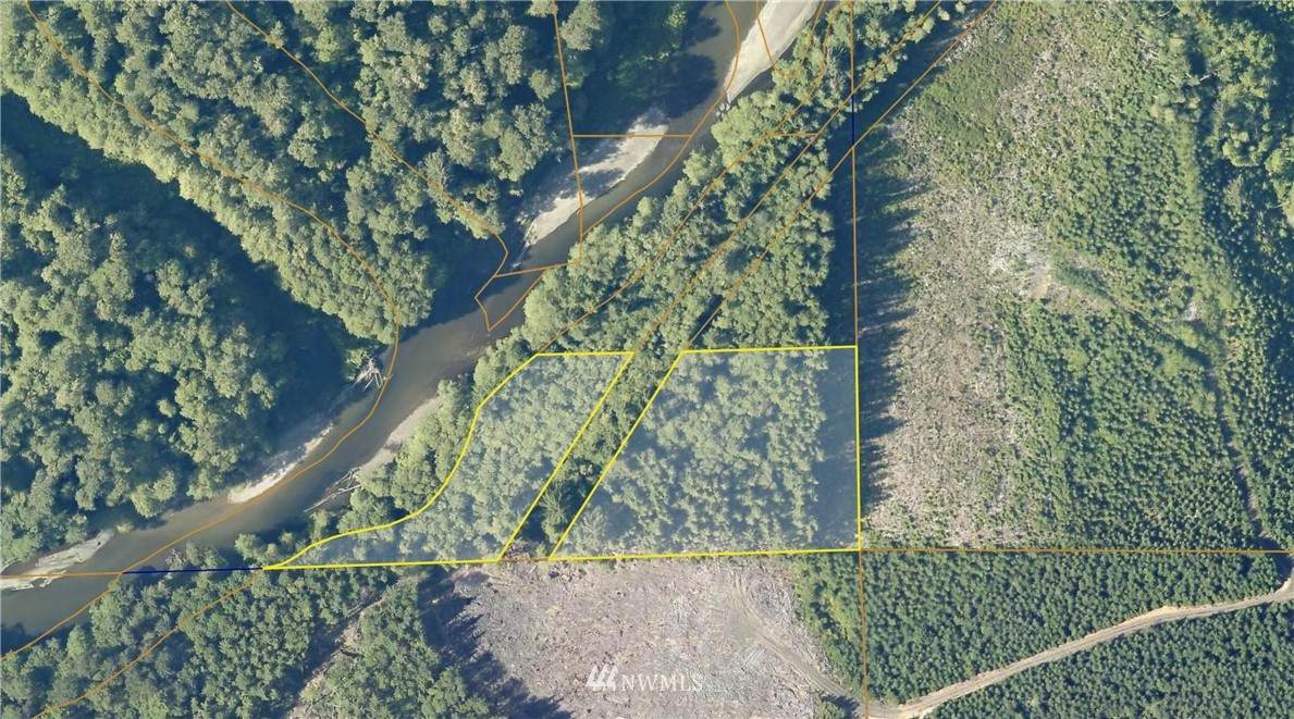 6 Humptulips Valley Road - Photo 1