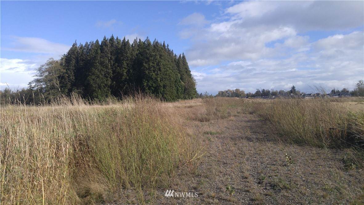 5980 Olson Road - Photo 1