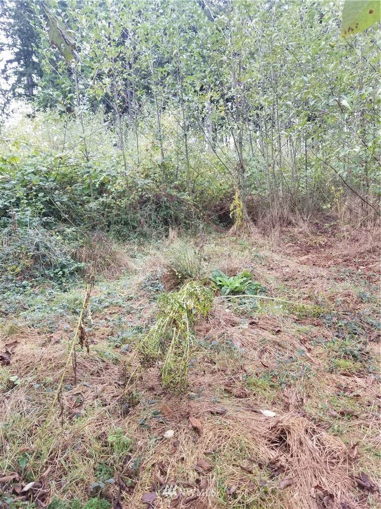 0 Middle Fork Road - Photo 1