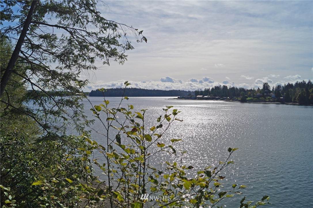 731 Benson Loop Road - Photo 1