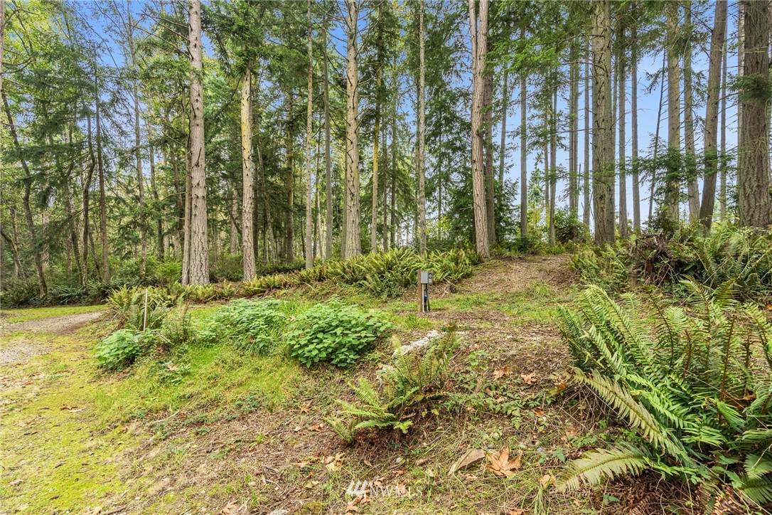 0 Goatsbeard Lane - Photo 1