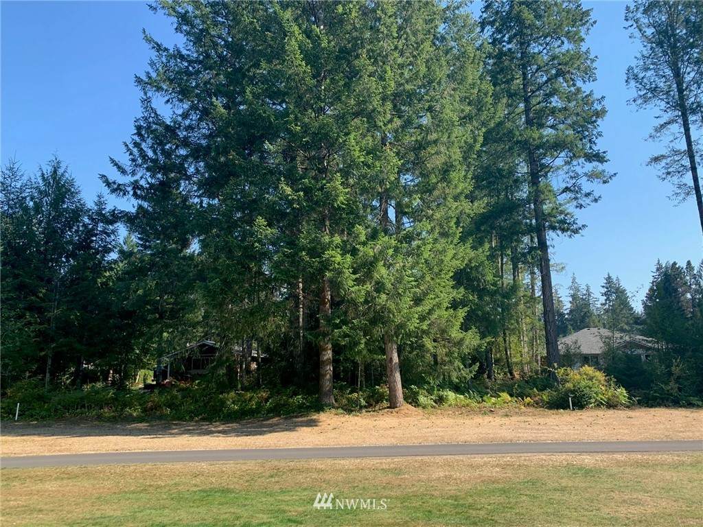 250 Shamrock Drive - Photo 1