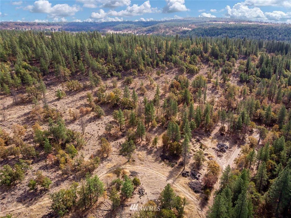 0 Sr 97 Lot2w - Photo 1