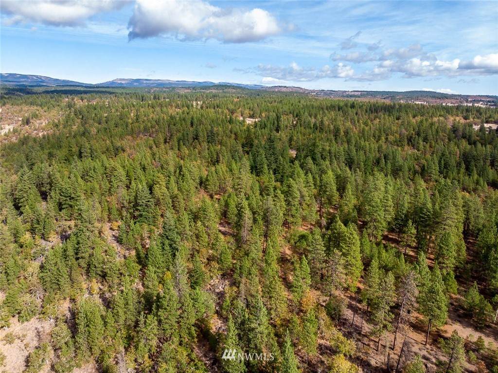 0 Sr 97 Lot 1 - Photo 1