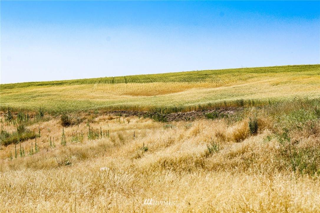 0 Halvorson Canyon Road - Photo 1