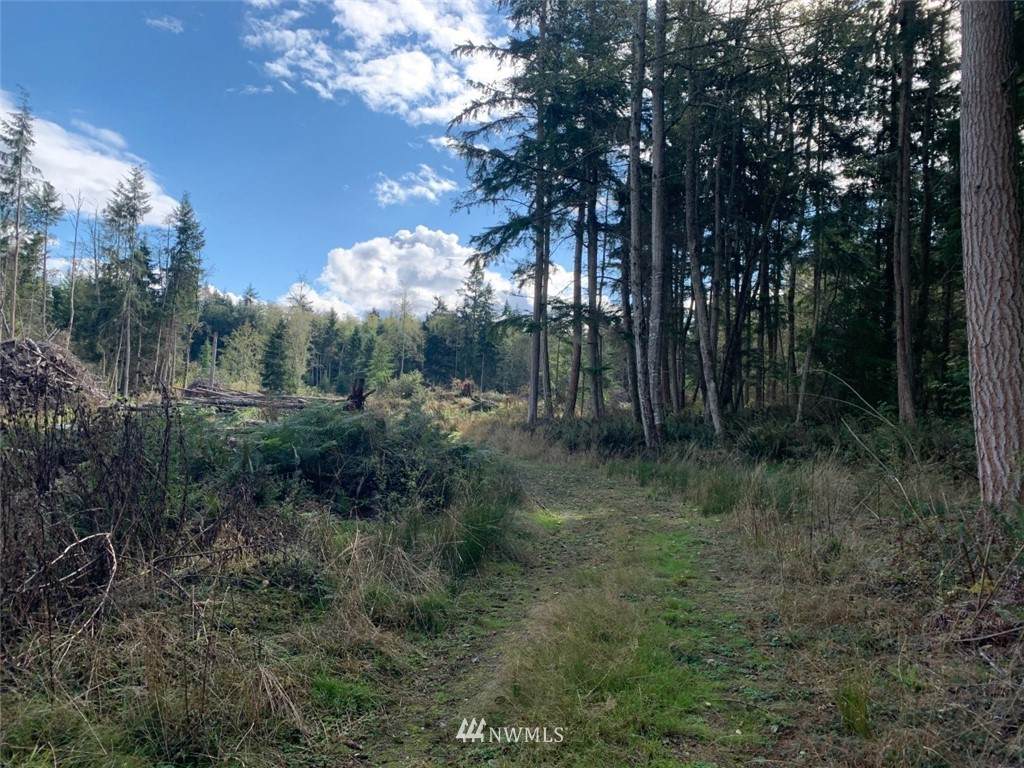 0 Alder View Lane - Photo 1