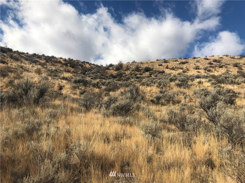 0 Goldfish Gulch Road - Photo 1