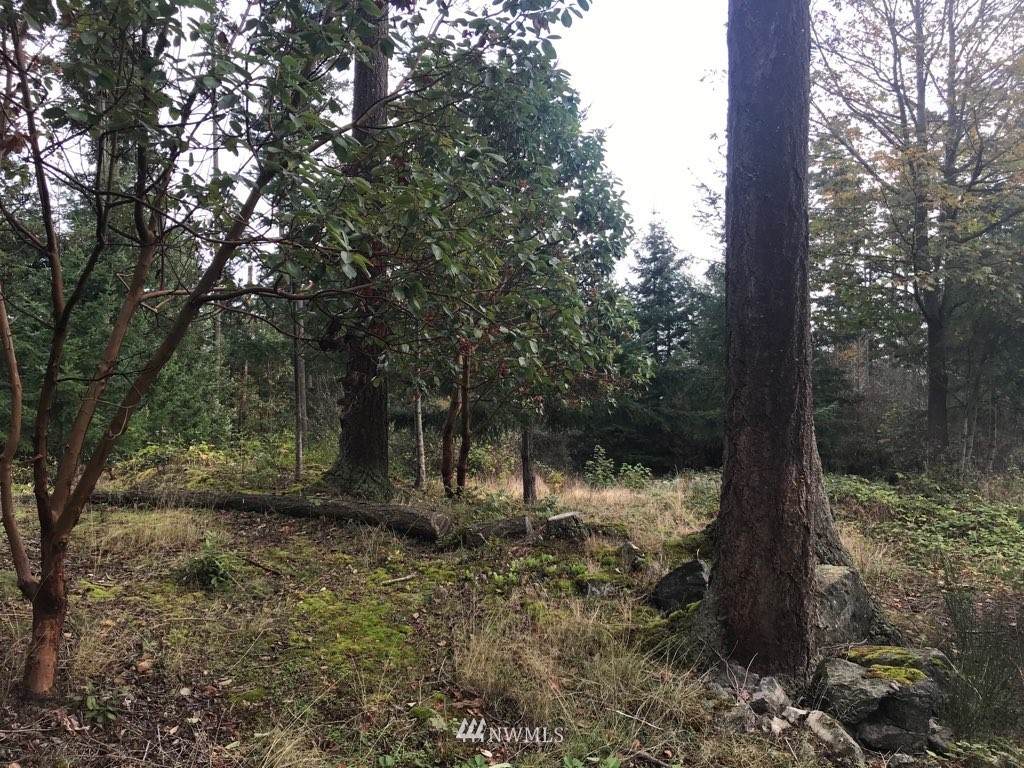 11927 Sunrise Plateau Drive - Photo 1