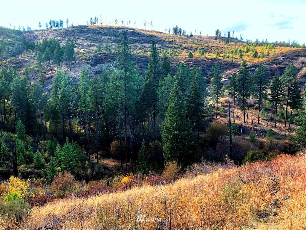 0 Hwy 231 - Photo 1