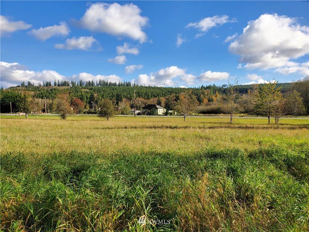 81 Cherry Lane - Photo 1