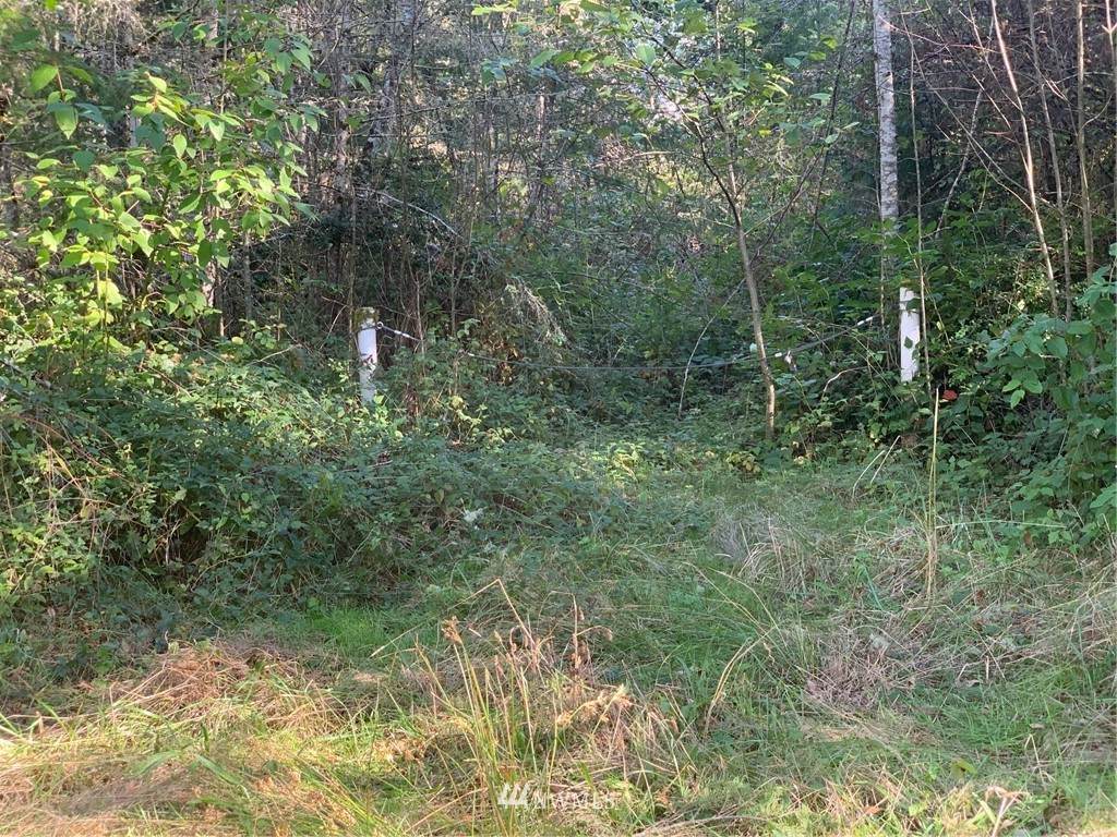 13700 121st Street - Photo 1