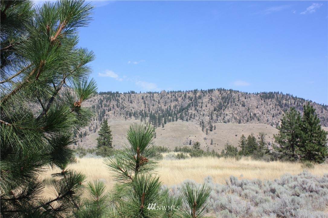 39440 Sterling Valley Road - Photo 1