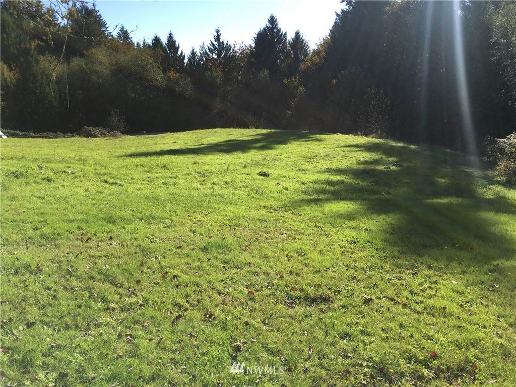 9 Lot Ammons Lane - Photo 1