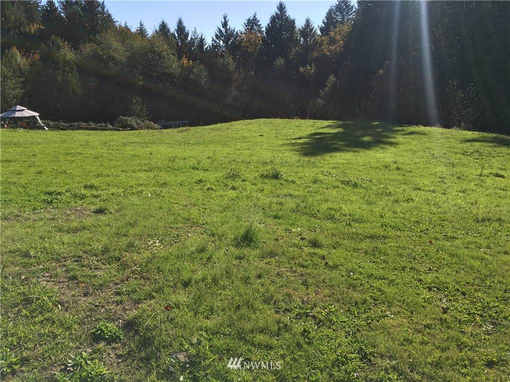 8 Lot Ammons Lane - Photo 1
