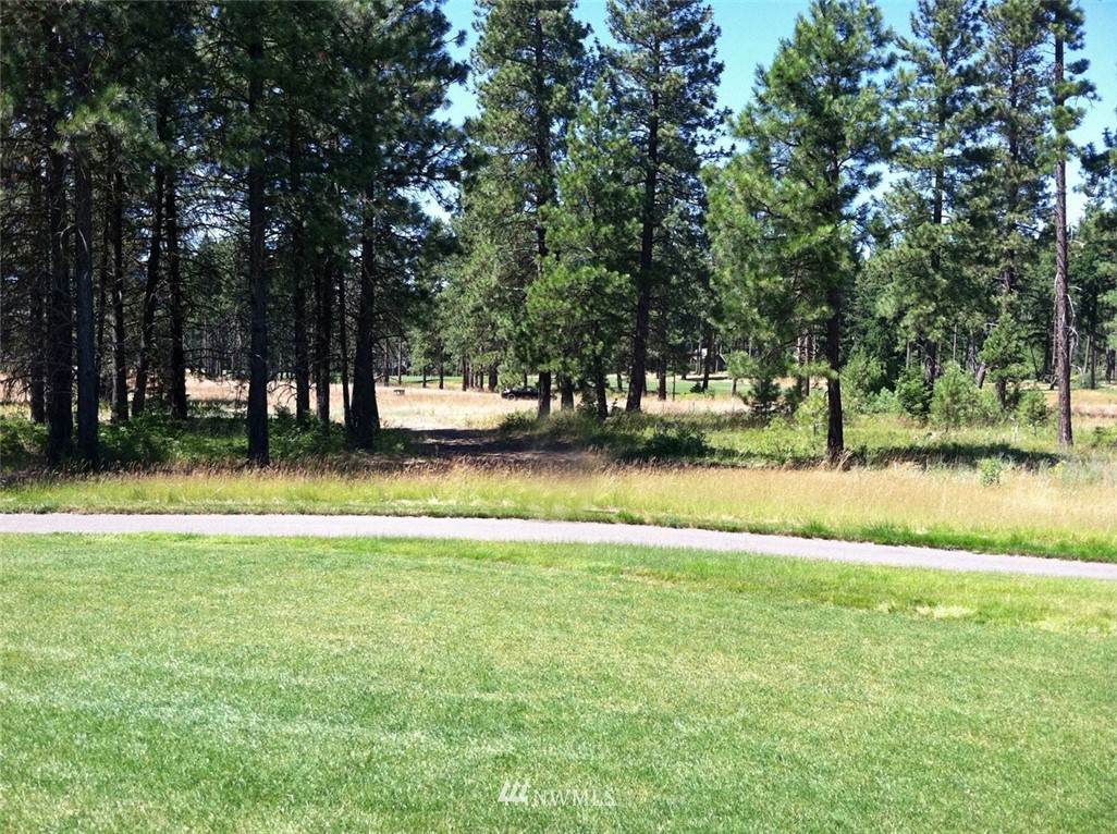 230 Tipple Hill Loop - Photo 1