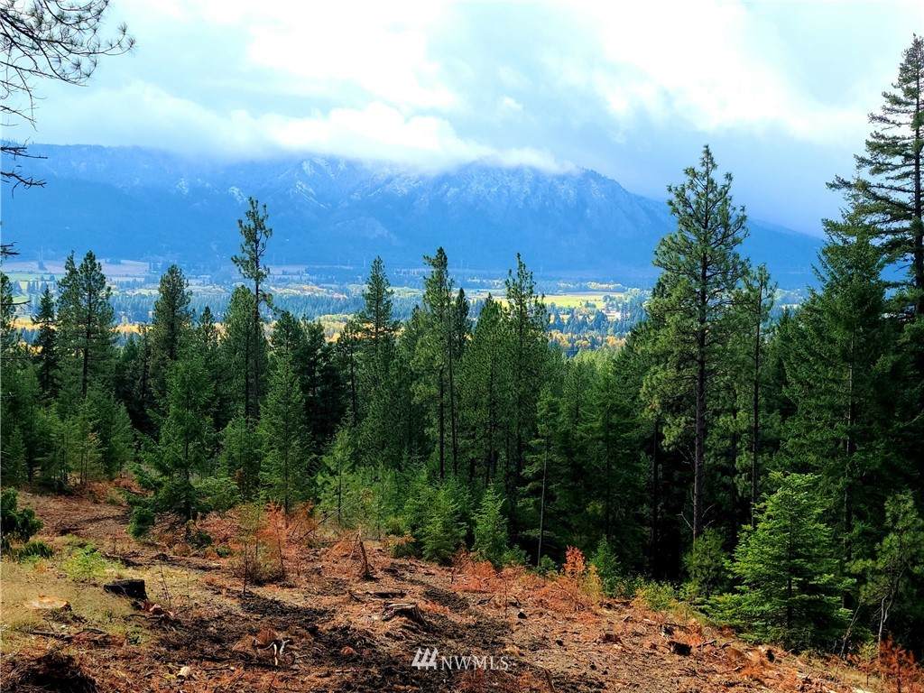 11 Creekside (Timberline#11) Road - Photo 1