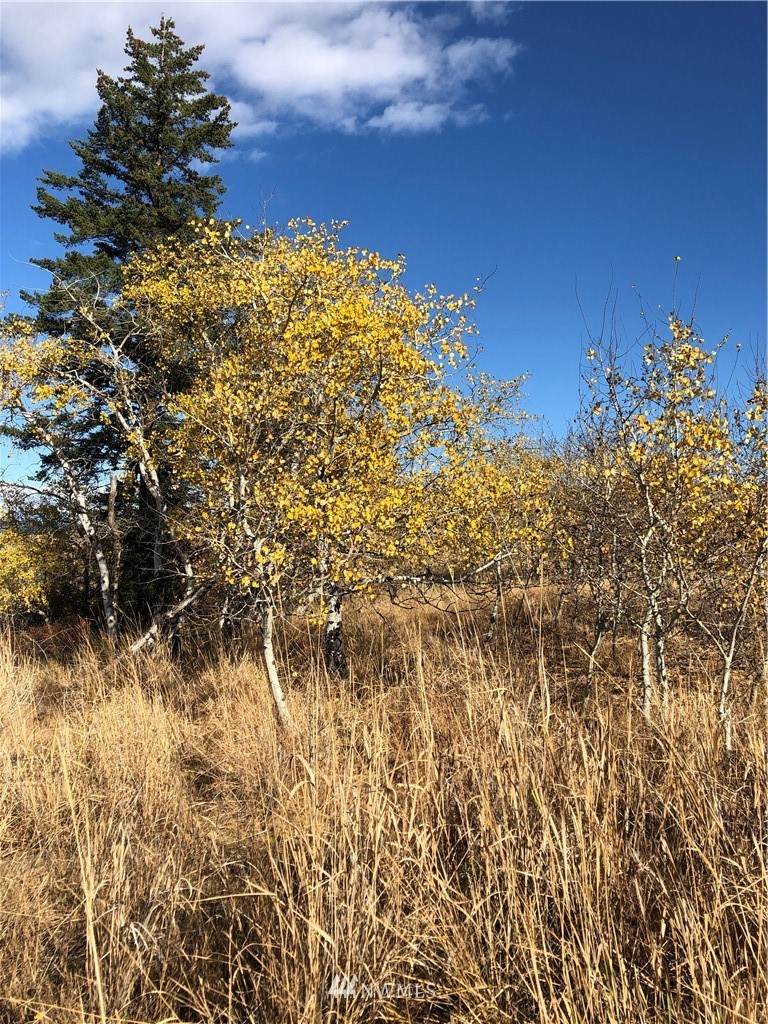 111 Circle R - Photo 1