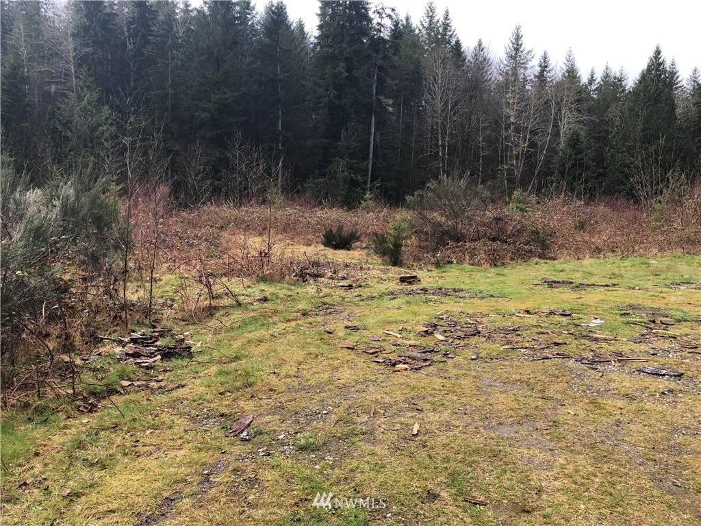 0 Lake Cavanaugh Road - Photo 1