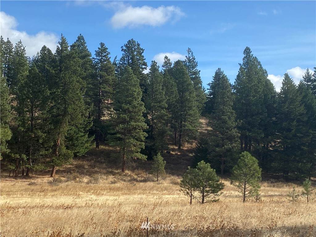 0 Thorp Prairie Road - Photo 1