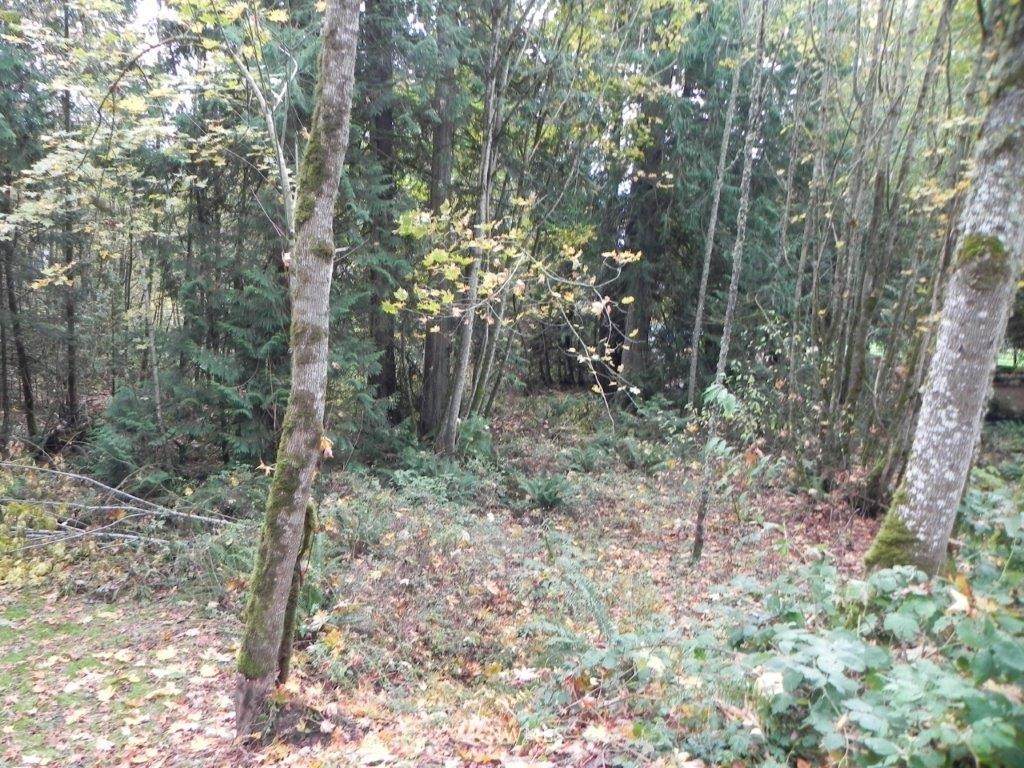 10 294th Avenue - Photo 1