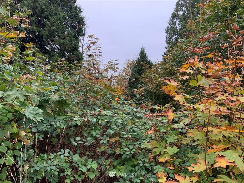 5360 Canvasback Loop - Photo 1