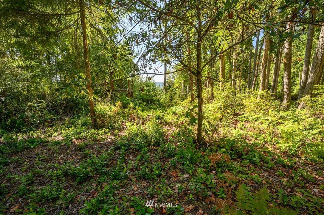 13 Madrona Road - Photo 1