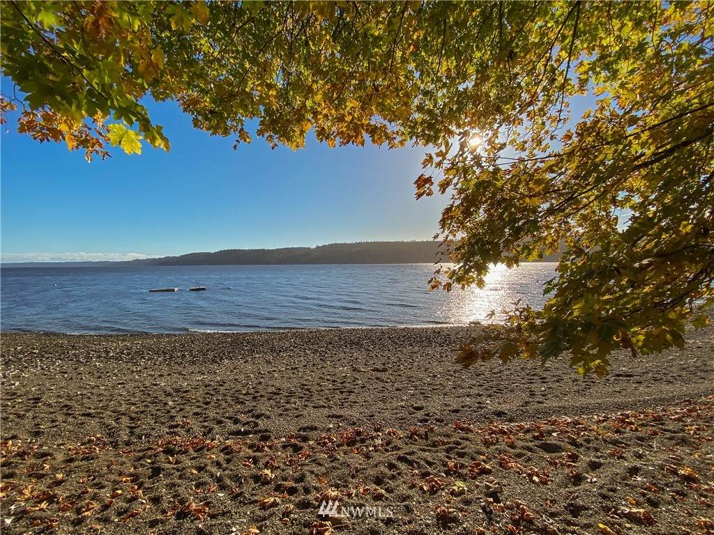 11033 North Shore Road - Photo 1