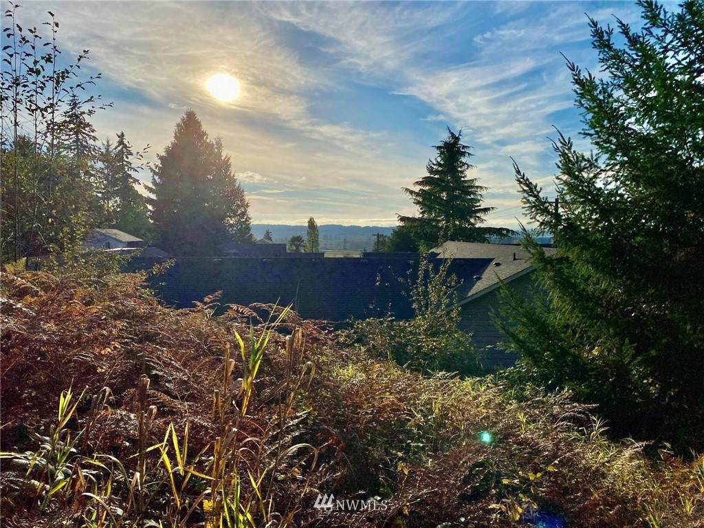 7630 Vernon Road - Photo 1