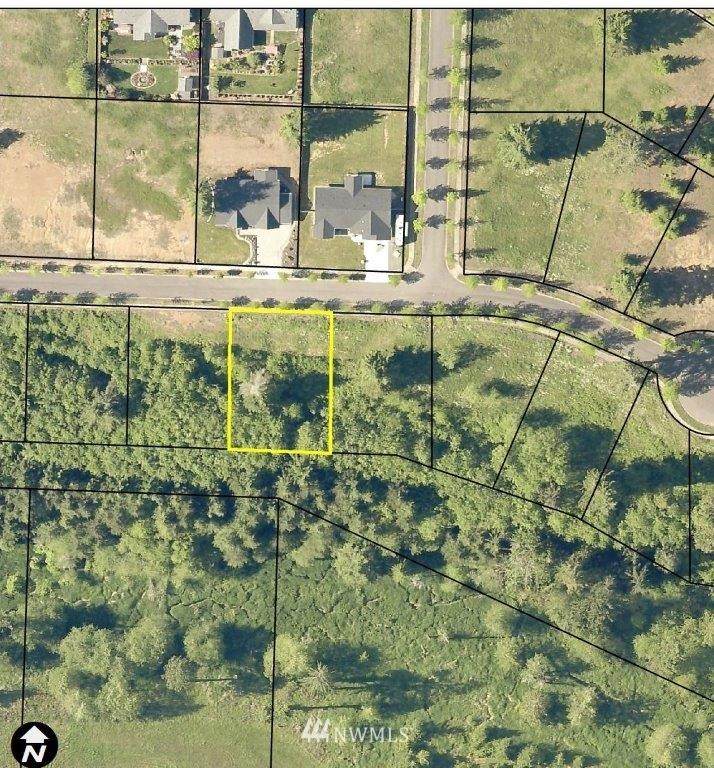 124 Sequoia Lane - Photo 1
