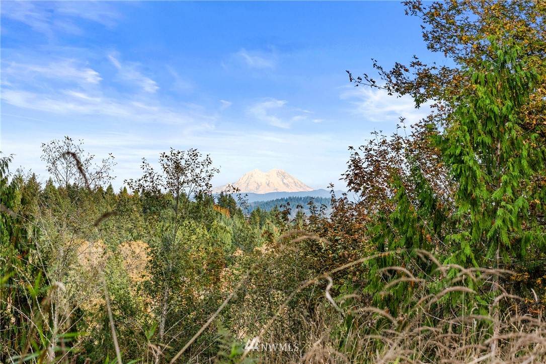 260 Blanchard Road - Photo 1