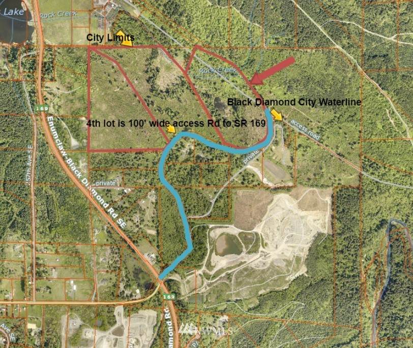 348 Enumclaw-Black Diamond Road - Photo 1