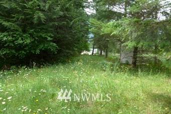 133 Red Cedar Lane - Photo 1