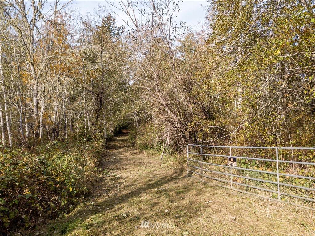 15517 20 Street - Photo 1