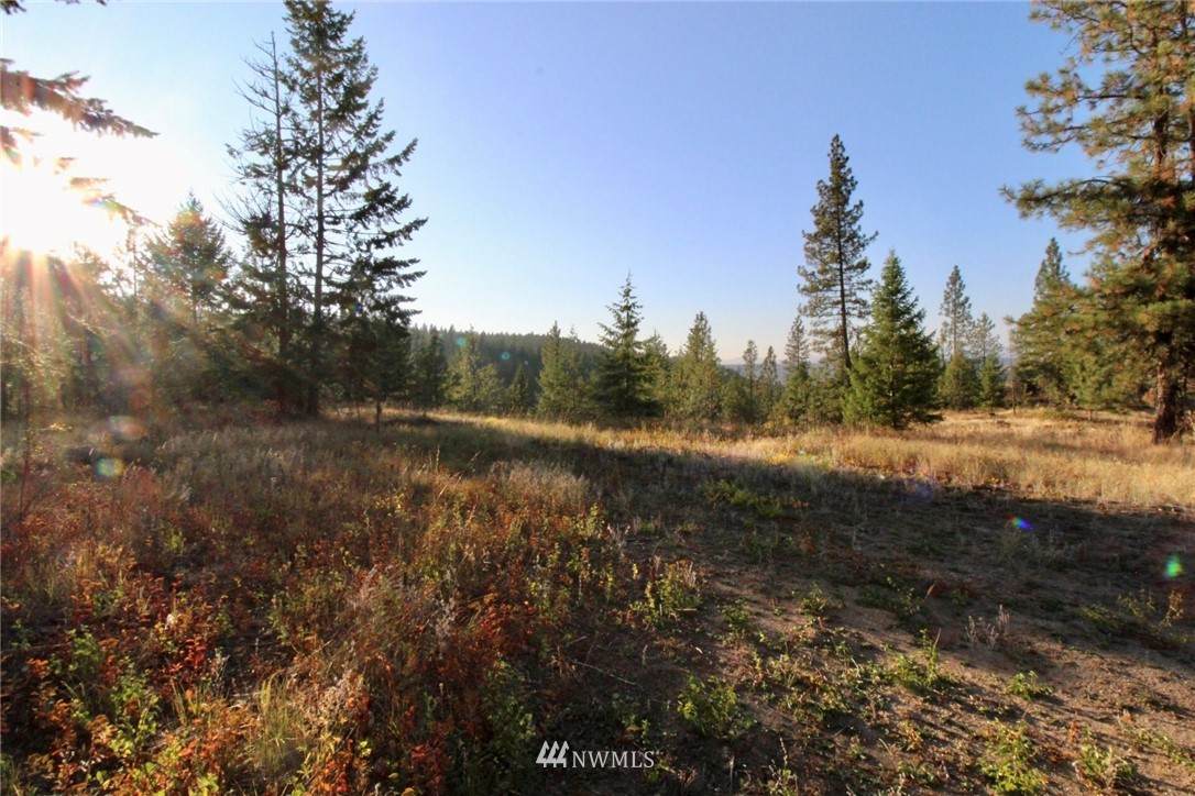 0 Rail Canyon Lot #3 Road - Photo 1