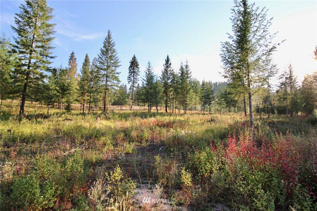 0 Rail Canyon Rd Lot 5 - Photo 1