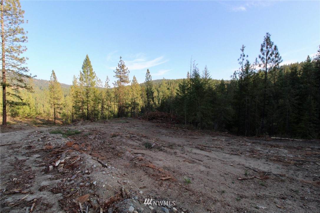 0 Rail Canyon Rd Lot 8 - Photo 1