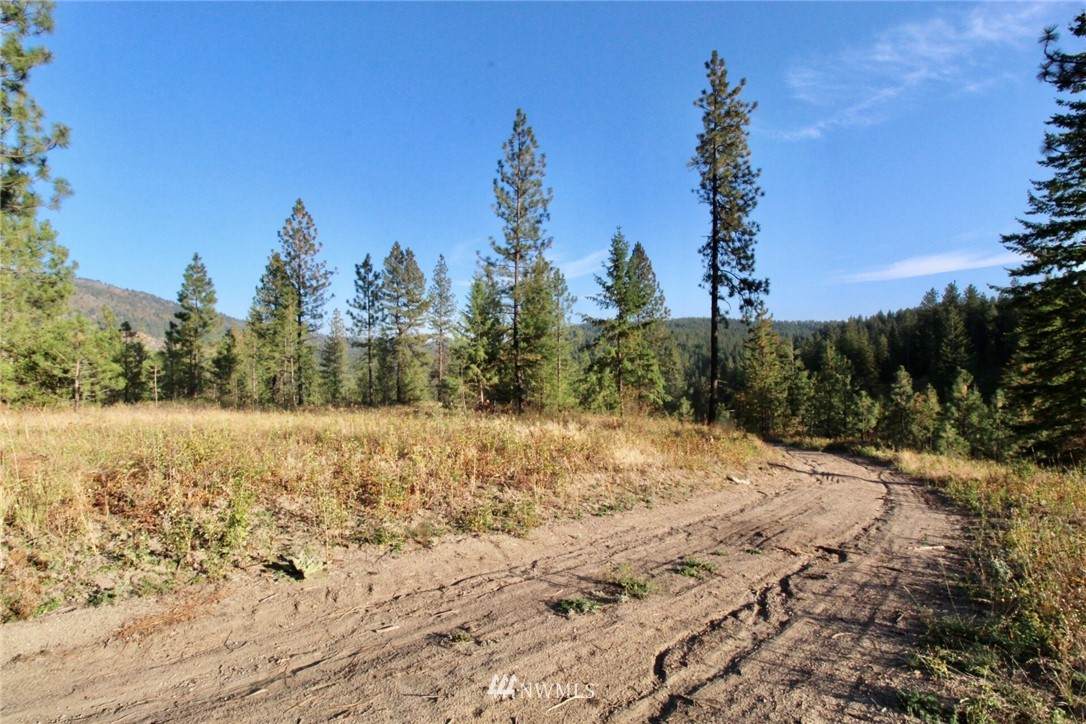 0 Rail Canyon Rd Lot 9 - Photo 1