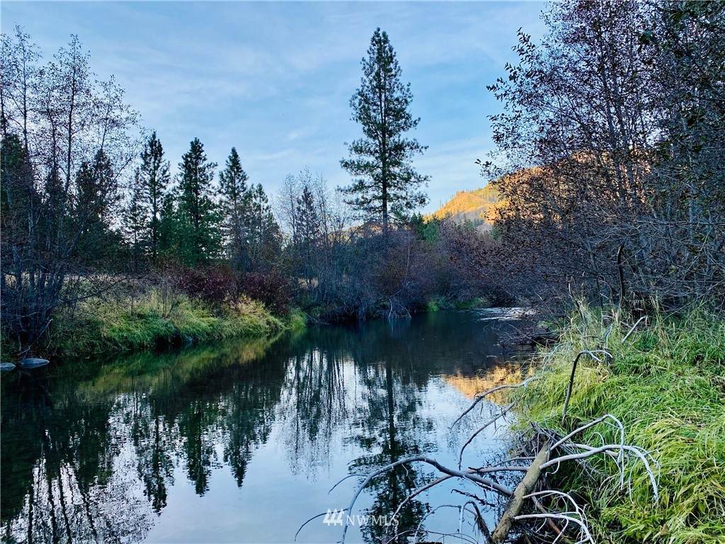99999 Hwy 21 - Photo 1