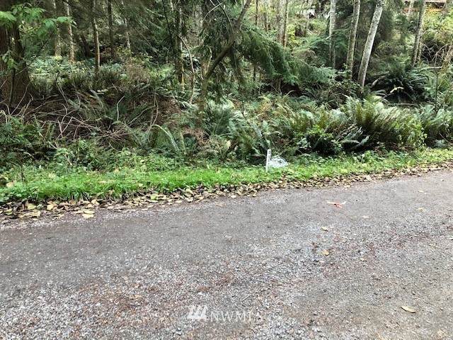 0 Alder View Lane - Photo 1
