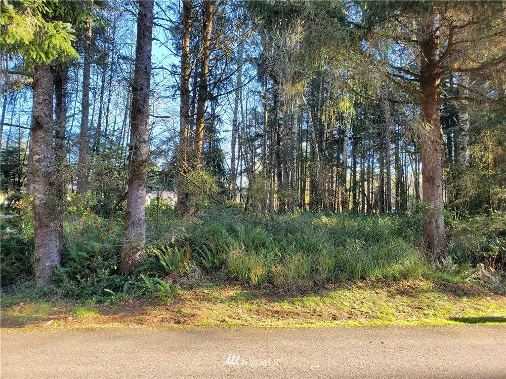 293 Pearsall Street - Photo 1