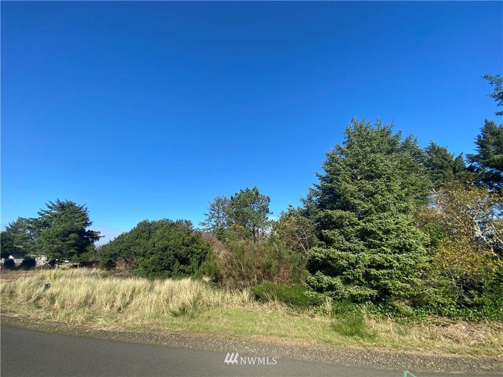 140 Razor Clam Drive - Photo 1