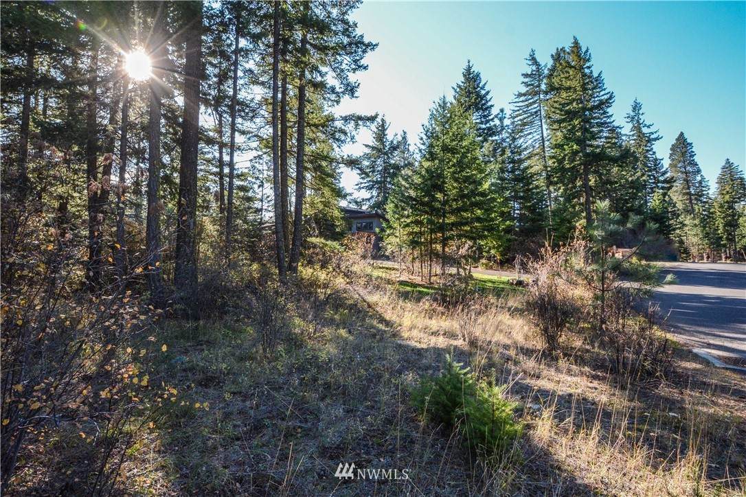30 Snowberry Loop - Photo 1