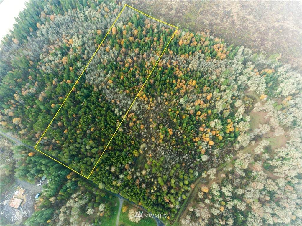 0 Pine Tree Road - Photo 1