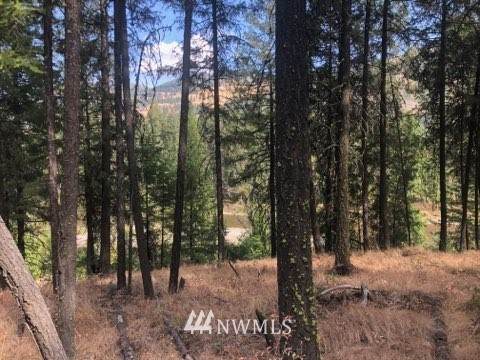 0 Kettle River Road - Photo 1